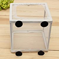 Los mejores  - Clara Tracy Caja de cría de Peces de Acuario Criadero de Peces de cría Caja de Red de Aislamiento Caja de Tanque de…